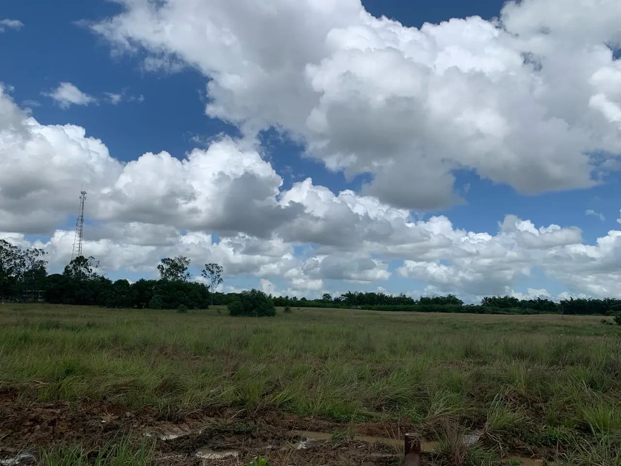 Sítio – 70.500 m² – Candeias/BA, foto 3