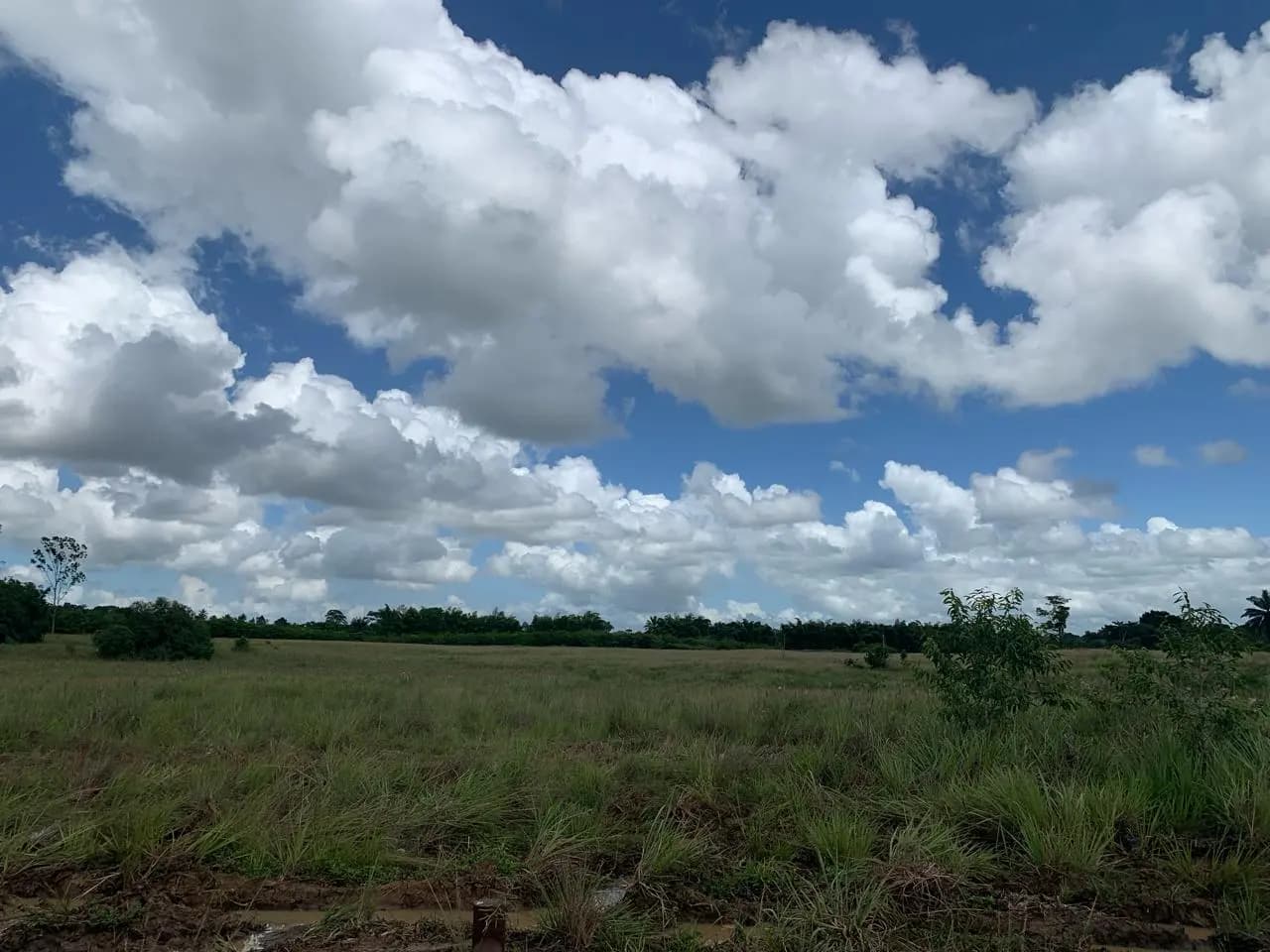 Sítio – 70.500 m² – Candeias/BA, foto 5