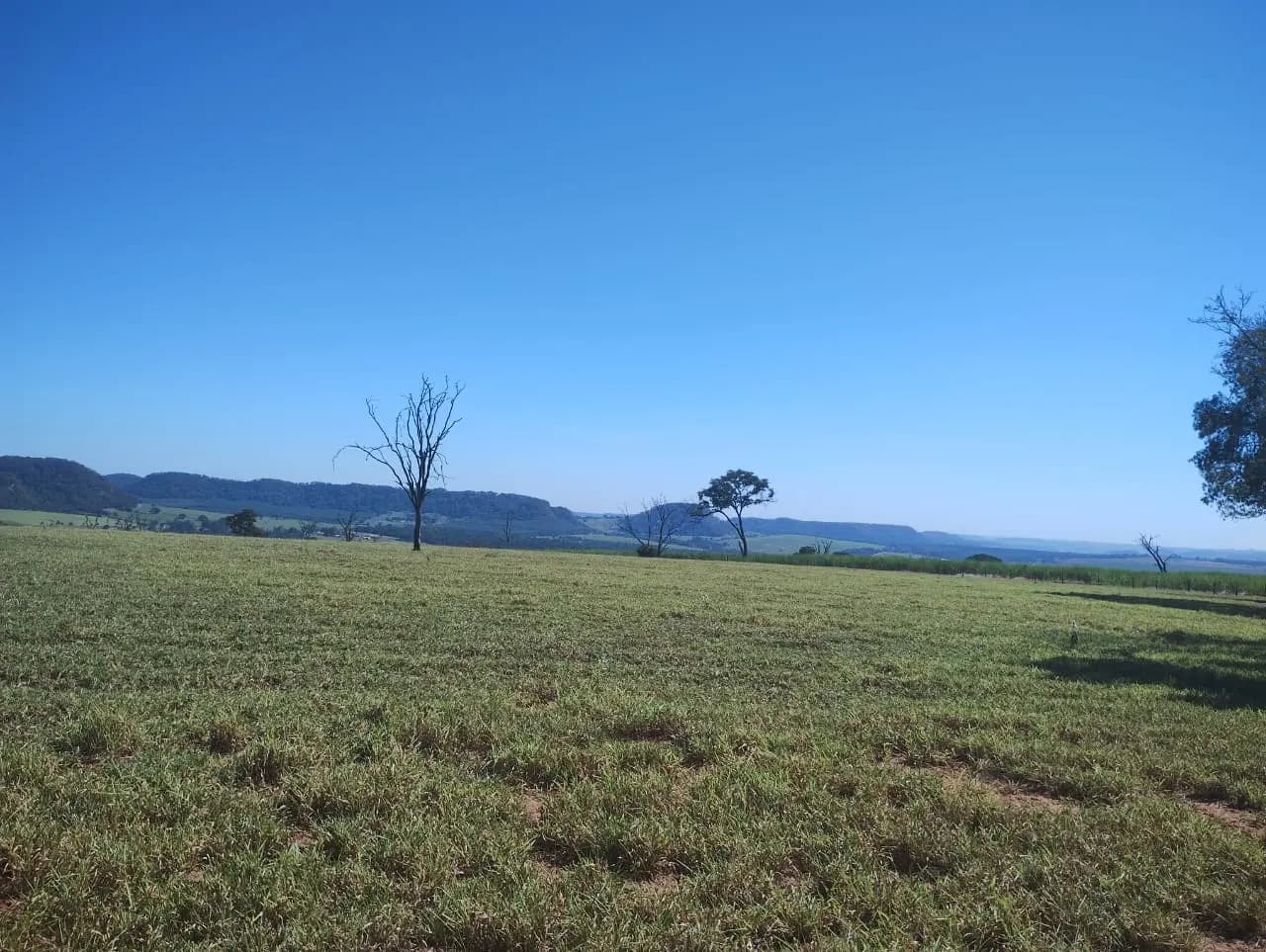 Sítio Rural – 3 alq. – Ribeirão Bonito/SP, foto 2