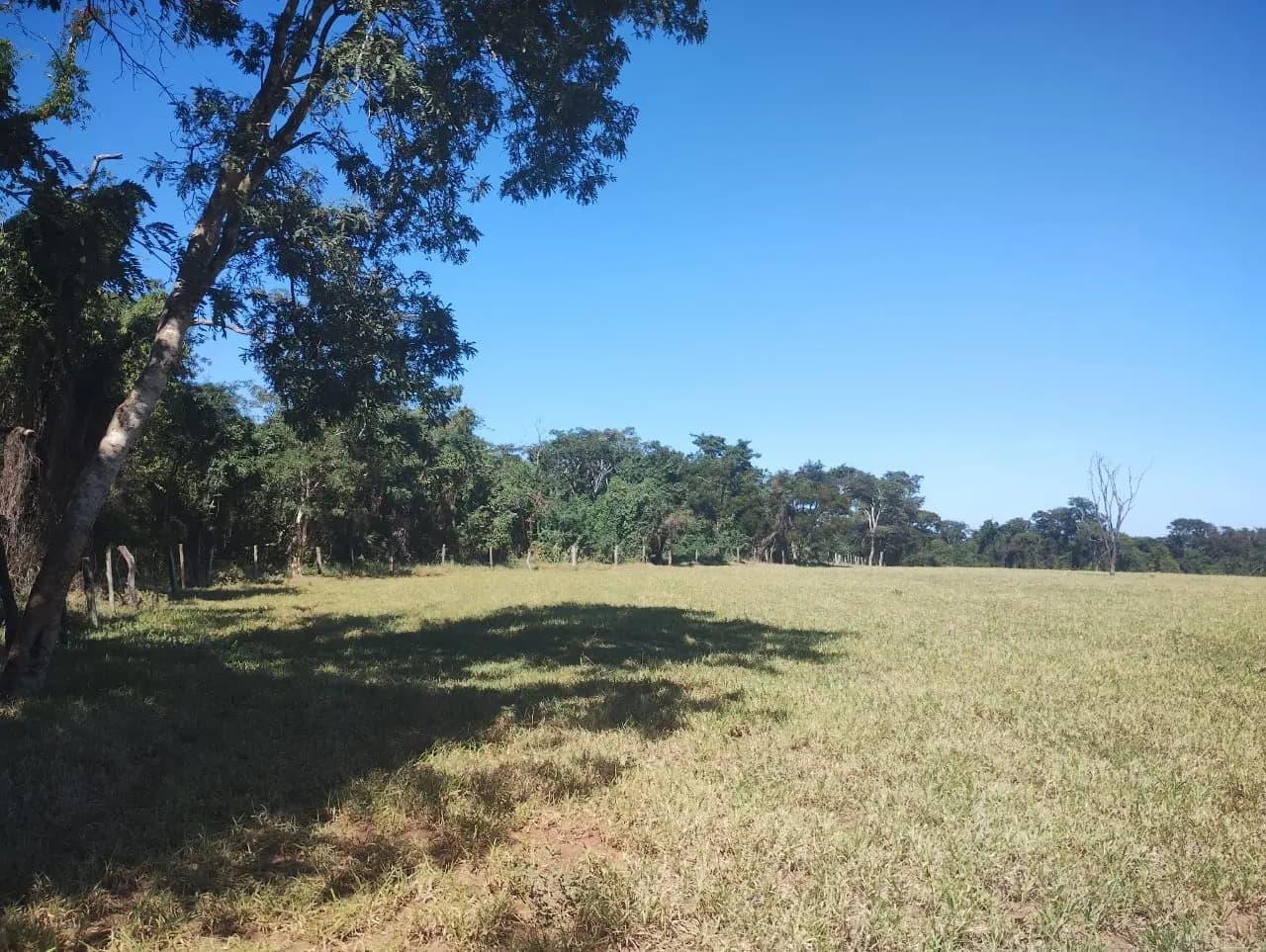 Sítio Rural – 3 alq. – Ribeirão Bonito/SP, foto 3