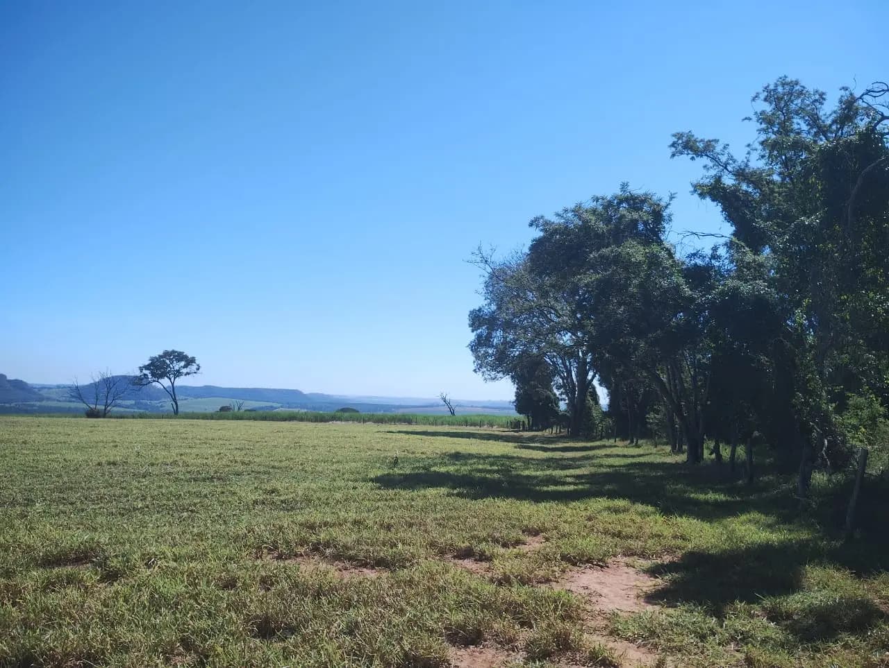 Sítio Rural – 3 alq. – Ribeirão Bonito/SP, foto 5