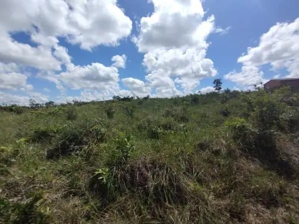 Terreno (Gleba) – 22.830 m² – Lote 03B – Itaporanga d’Ajuda/SE, foto 2