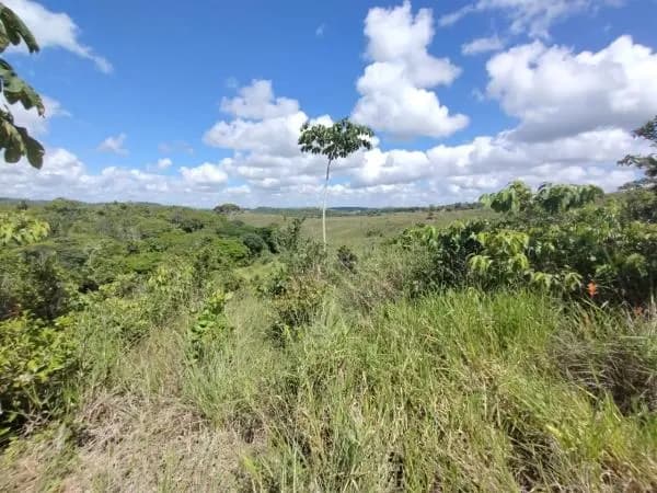 Terreno (Gleba) – 22.830 m² – Lote 03B – Itaporanga d’Ajuda/SE, foto 3