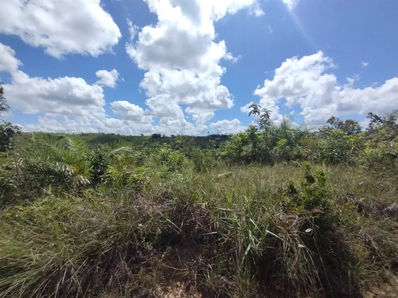 Terreno (Gleba) – 61.080 m² – Lote 03A – Itaporanga d’Ajuda/SE