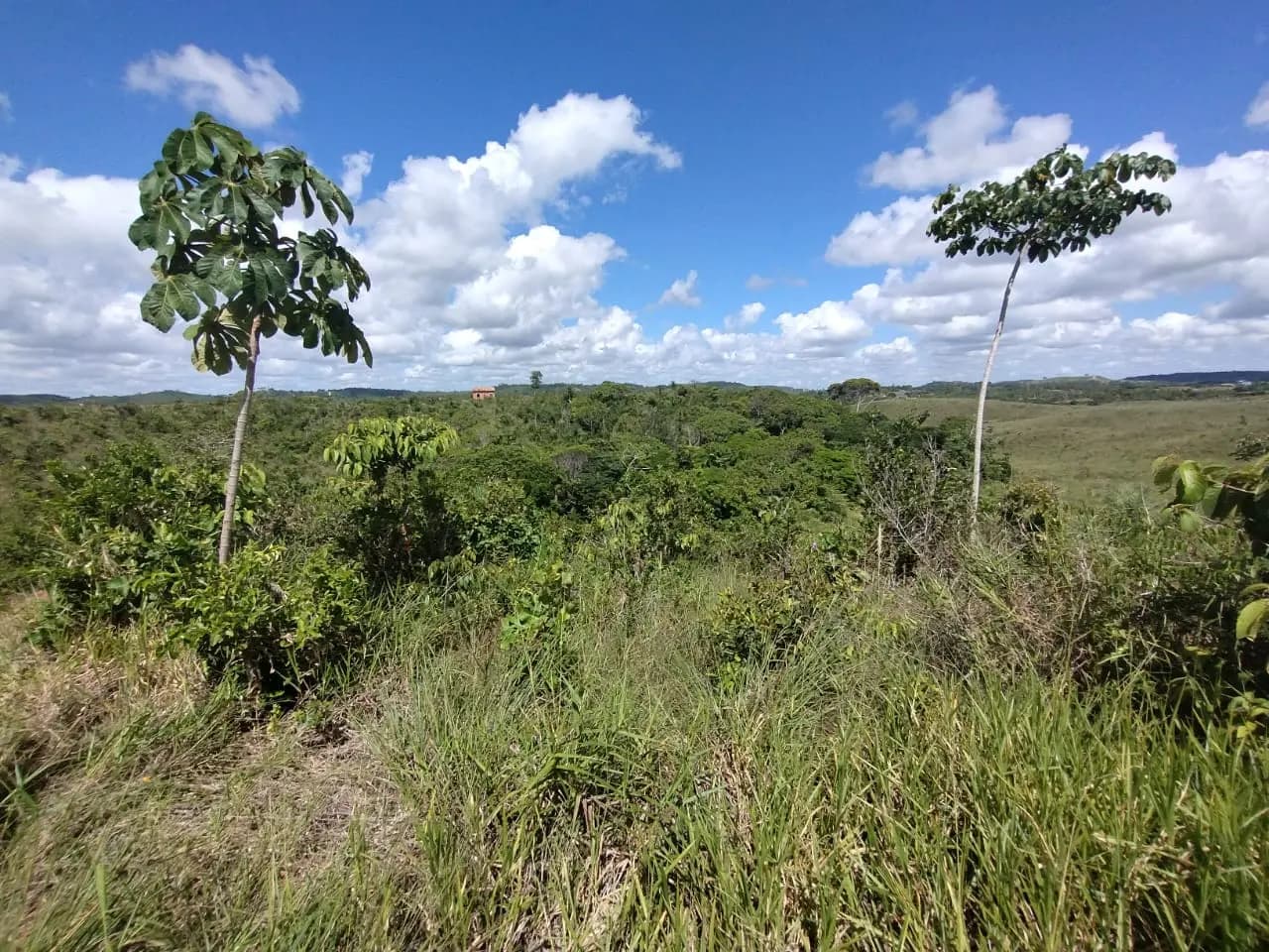 Terreno (Gleba) – 61.080 m² – Lote 03A – Itaporanga d’Ajuda/SE, foto 2