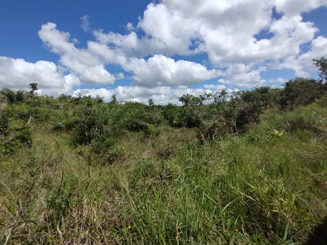 Terreno (Gleba) – 61.080 m² – Lote 03A – Itaporanga d’Ajuda/SE, foto 5