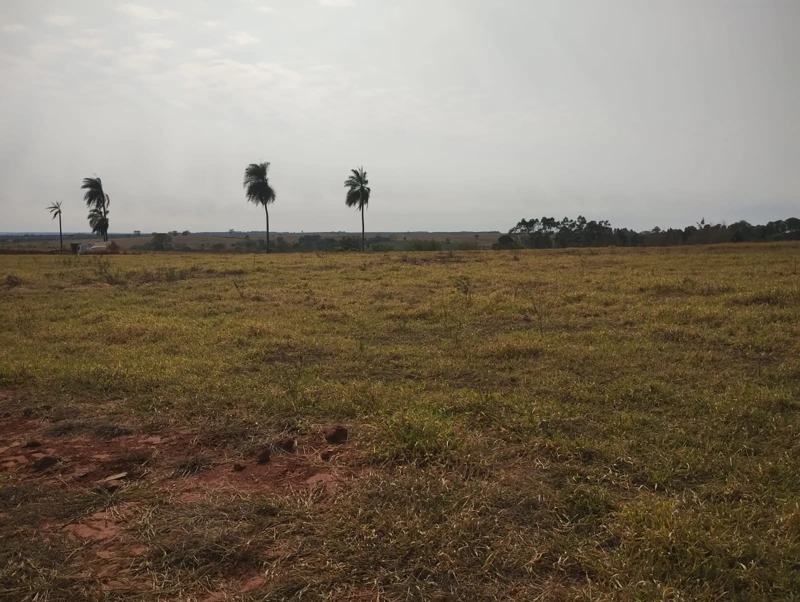Terreno Urbano – 240 m² – Lote 25 Quadra I – Marília/SP, foto 5