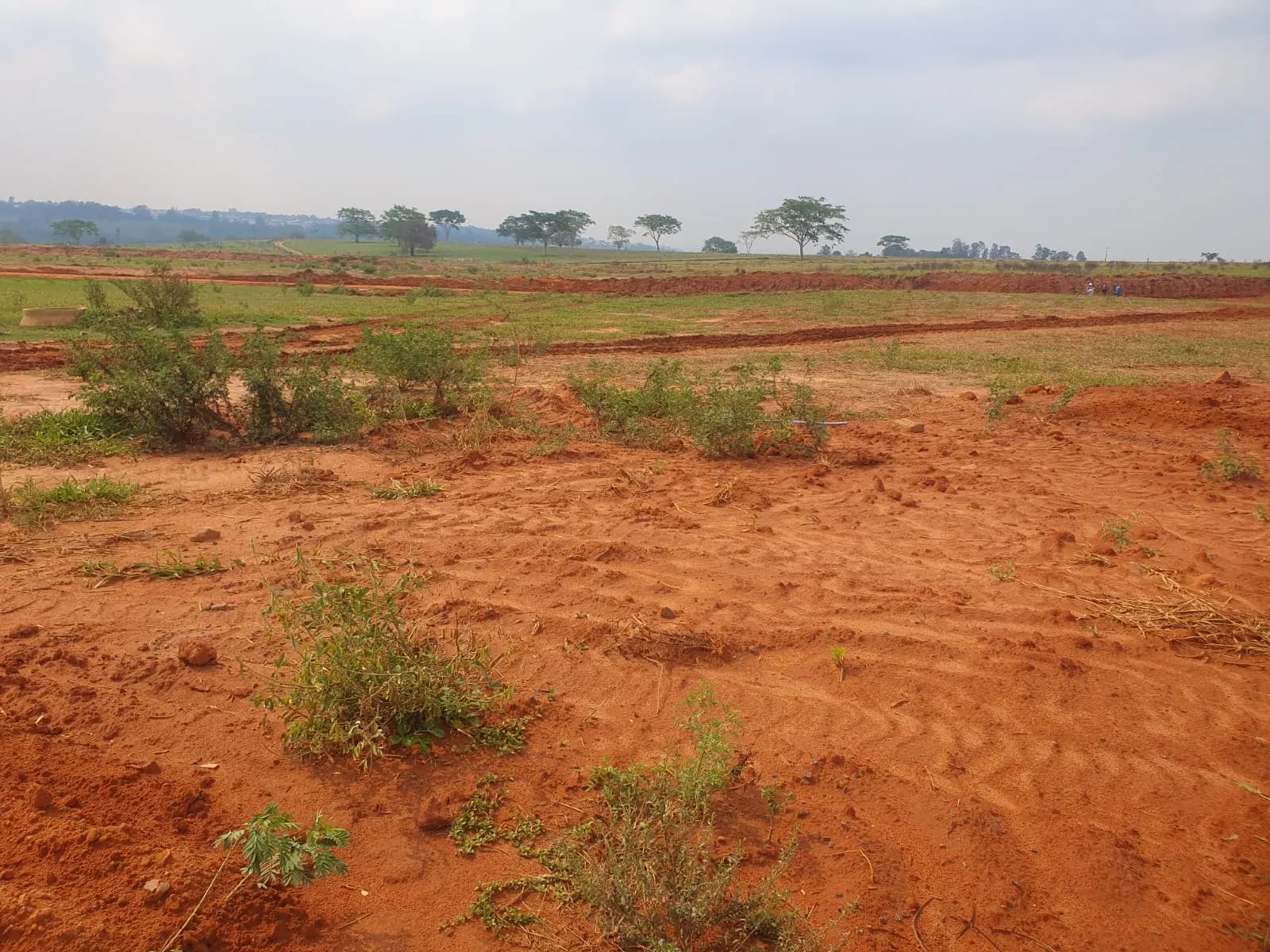Terreno Urbano – 250 m² – Lote 41 Quadra K – Marília/SP, foto 4