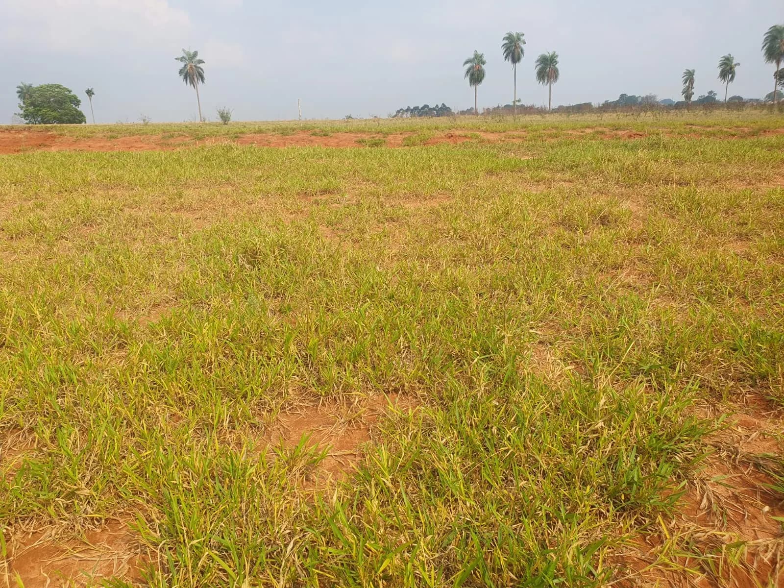 Terreno Urbano – 250 m² – Lote 03 Quadra U – Marília/SP, foto 2