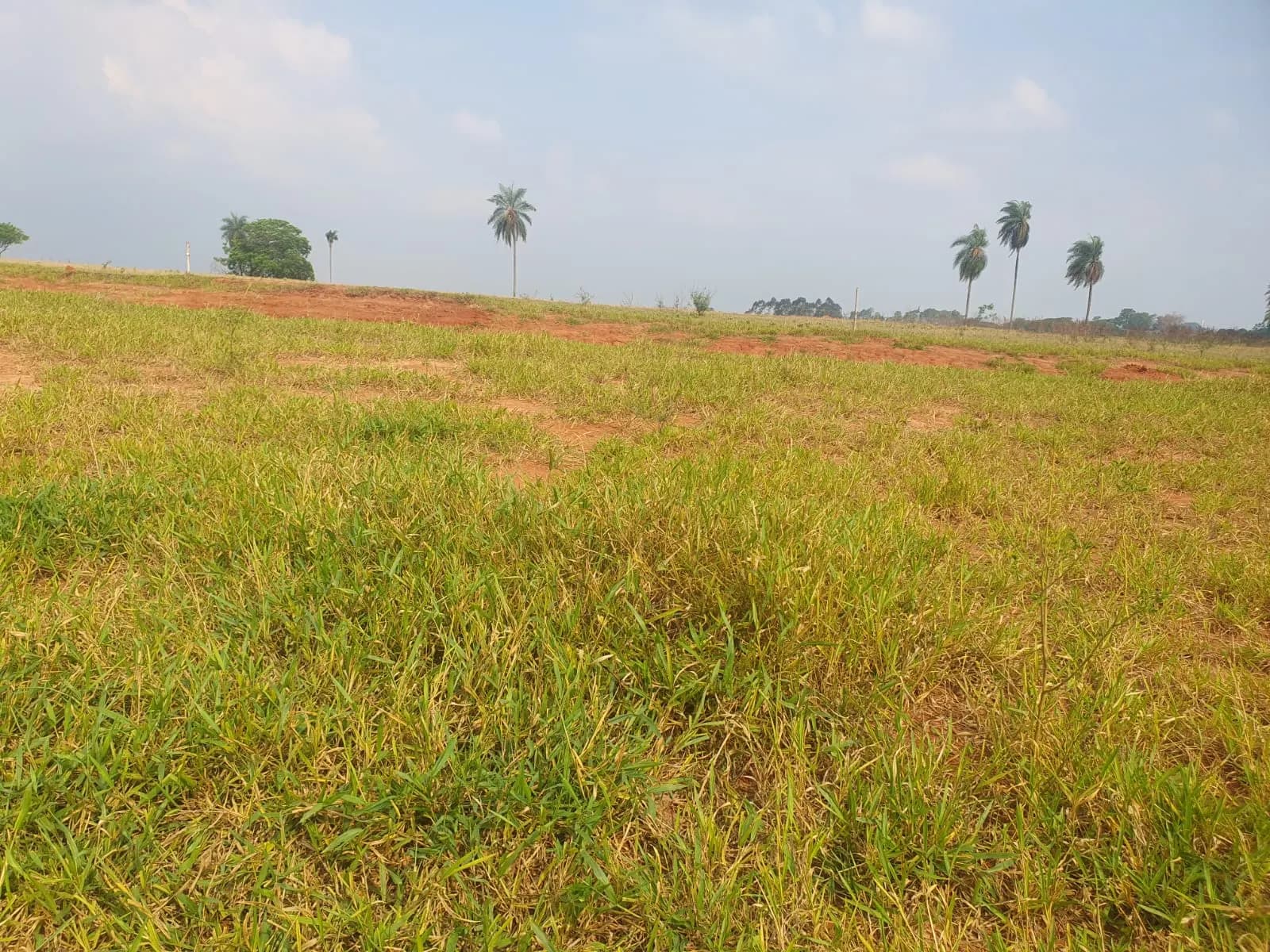 Terreno Urbano – 250 m² – Lote 04 Quadra U – Marília/SP