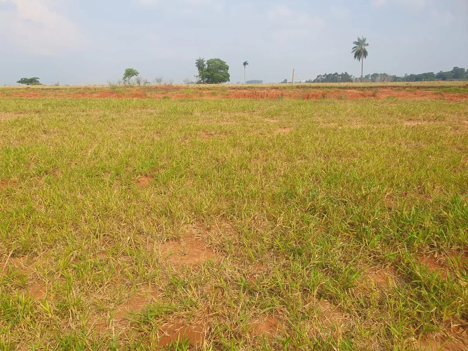 Terreno Urbano – 250 m² – Lote 10 Quadra U – Marília/SP, foto 3