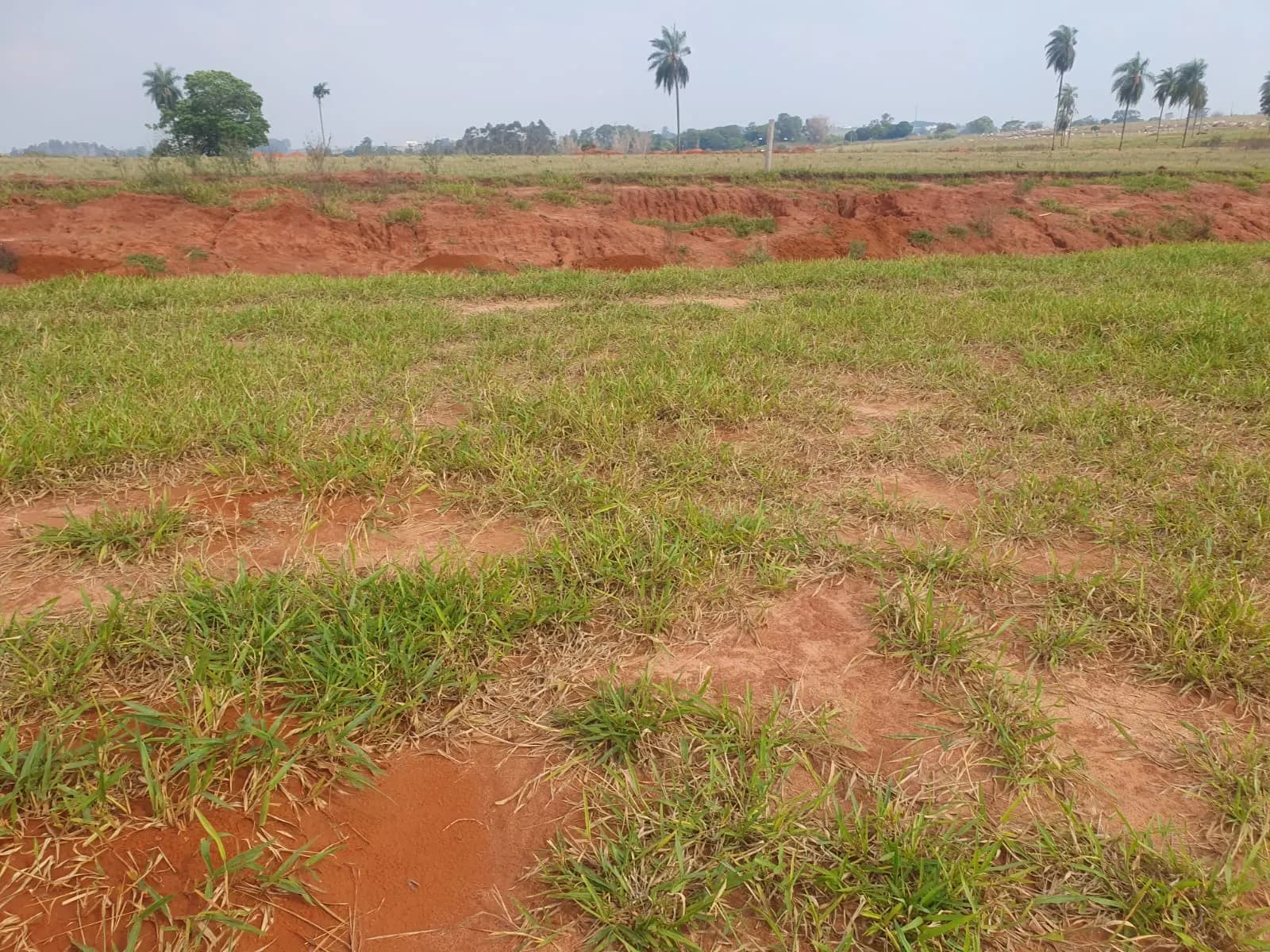 Terreno Urbano – 250 m² – Lote 11 Quadra U – Marília/SP, foto 3