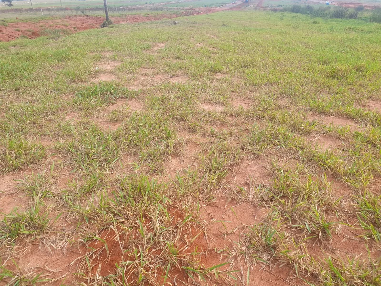 Terreno Urbano – 250 m² – Lote 11 Quadra U – Marília/SP, foto 4