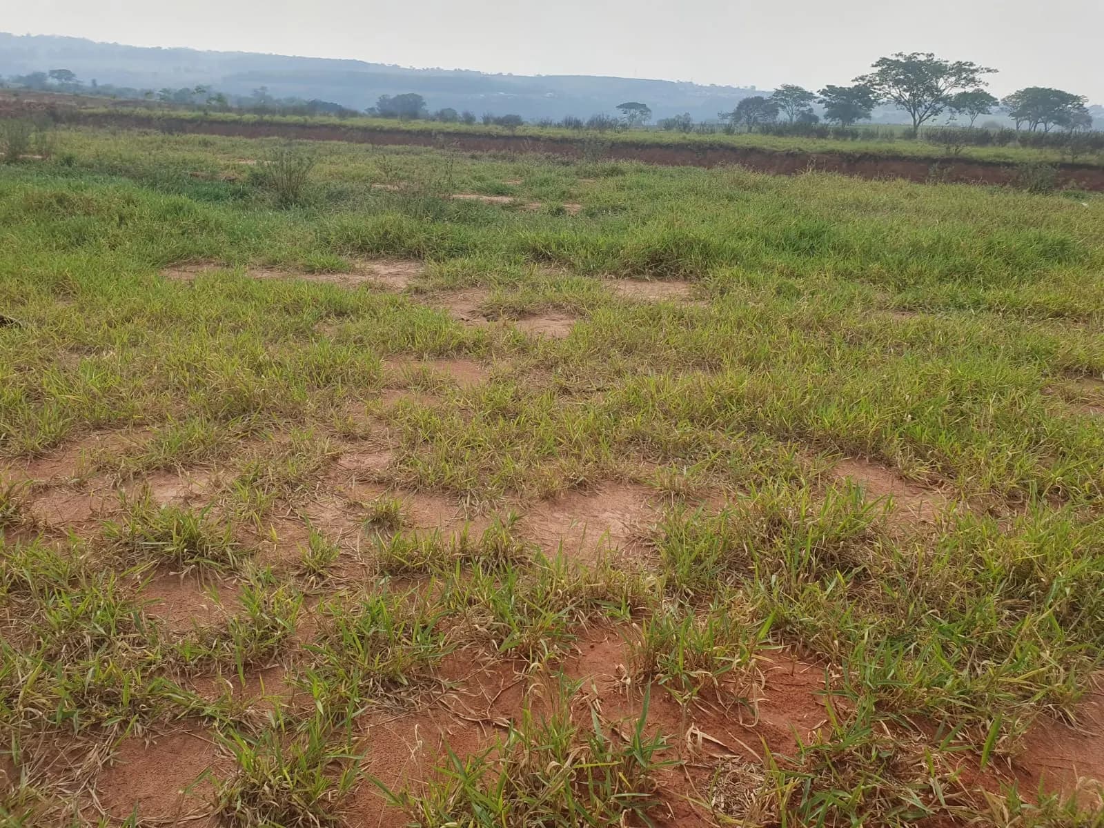 Terreno Urbano – 250 m² – Lote 11 Quadra U – Marília/SP, foto 5
