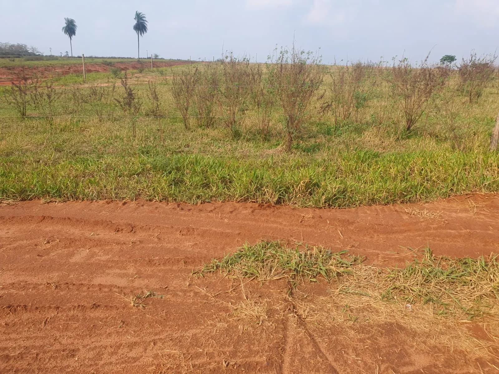 Terreno Urbano – 250 m² – Lote 24 Quadra V – Marília/SP, foto 2